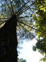 �c�[�����O