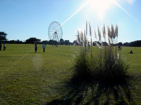 �c�[�����O