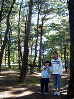 �c�[�����O