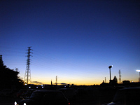 M's Collection �c�[�����O