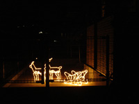 �N���X�}�X�C���~�l�[�V����