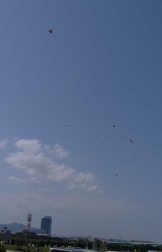 �召���܂��܂ȑ�����