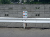 ������̎ʐ^