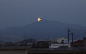 ��R�Ɍ������ޕ��i