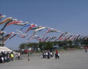 ���N����Q�{�̌�̂ڂ�ɁB