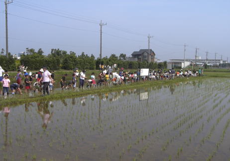 ���V�̒��A�D�񂱂ɂȂ�Ȃ���̓c�A��