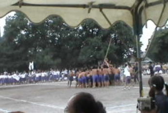 �ŋ߂ł͂߂��炵���Ȃ����j�q�̖_�|���B