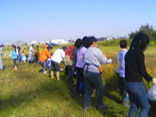 �ی�҂⋦�͈�����Ɍ�����Ȃ���̈��