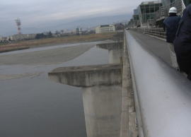 �ЉƎ搅��B���łɋ��r�͏o���Ă���B