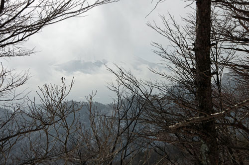 �K�X�̒��̕x�m�R