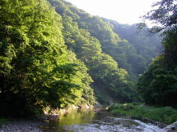 鳴子峡