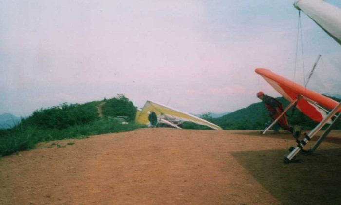 ���o�q�R�G���A�̃n���O�O���C�_�[