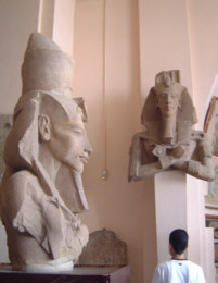 [�A�}���i�|�p�̕����͏����ς�������͋C]