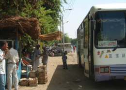 [�x�e���̖l�B�̃o�X]