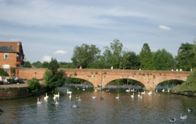 [�G�C�{����̔���]