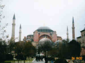 [�u���[���X�N����s���N�̊O�ǂ̃A���\�t�B�A�Ɍ�����]