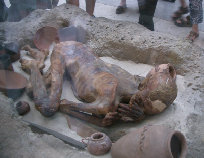 [�G�W�v�g�̃~�C��]