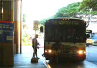 [�����̖���=THE�@BUS]