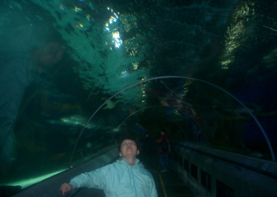 [�����C�m���E�̊C��g���l��]