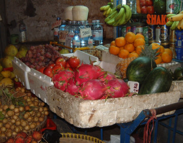 [�z�[�`�~���s�ŁB��O�̐Ԃ��̂��h���S���t���[�c]