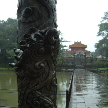 [���̖͗l���h���S���B�~���}����_��]