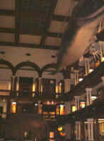 [�s��ȃn���C�A���E�z�[��]