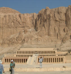 [�n�g�V�F�v�X�g���Փa�̉��i]