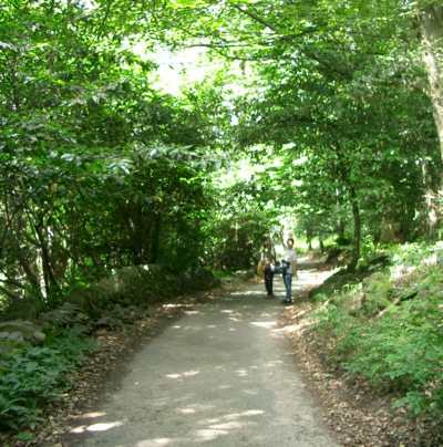 [�I���X�g�w�b�h�ւ̗΂̓�]