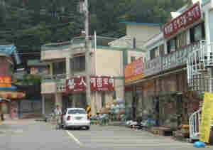 [����̓��|���̓X��]