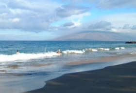 [�R���h�~�j�A���̑O�̃J�}�I���E�r�[�`�V]