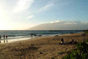 [�R���h�~�j�A����������ĂR���̃r�[�`�̗[���]