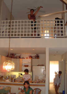 [�}�E�C�E�J�}�I���̎����B���Q�K���L��]