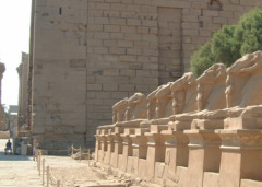 [�J���i�b�N�_�a�̎Q���̃q�c�W�̃X�t�B���N�X]