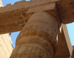 [�V��ɂ������[�t]