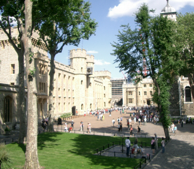 [�����h�����H�̕������珈�Y��]