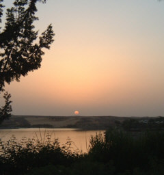 [�i�Z���΂ɒ��ޗ[�z]