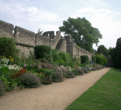 [�j���[�J���b�W�̊O��]