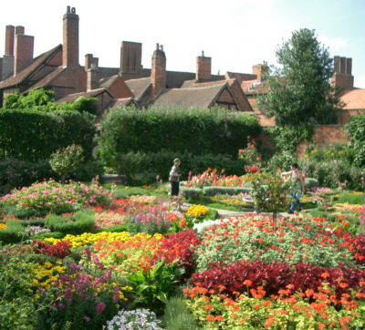 [�j���[�v���C�X�̉Ԓd]