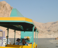 [���Ƃ̒J�̃V���g���g���C��]