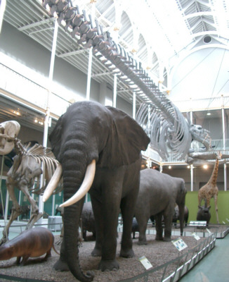 [�����Ȃǂ̐��E]