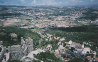 [���[�A�l�̏�ǂ���V���g���s�X�������낷]