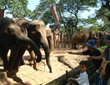 [���E�A�����ŏۂ���ɉa�����]