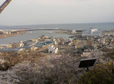 被災した石巻市