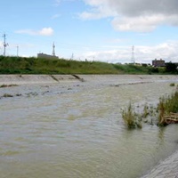 写真：石川の濁流