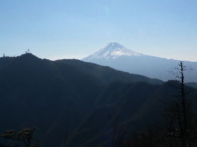 �{�Ѓ��ۂ���̕x�m�R