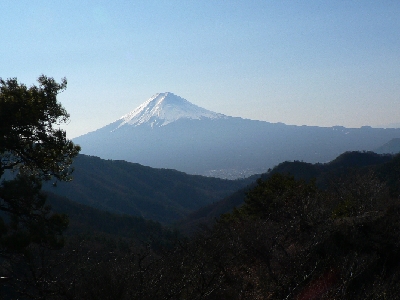 �����R����̕x�m�R