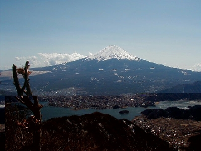 ���x����̕x�m�R�ʐ^