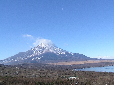 �S�C�؂̓�����̕x�m�R