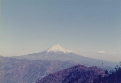 ���{������̕x�m�R