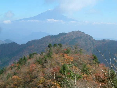 ������̕x�m�R